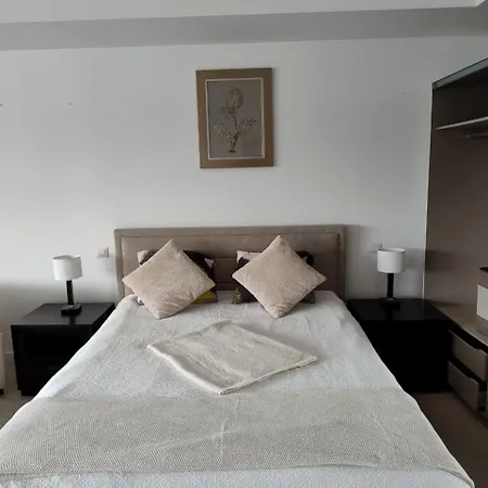 Vernescu 4 Luxury Living - Terrace Chic Appartement *